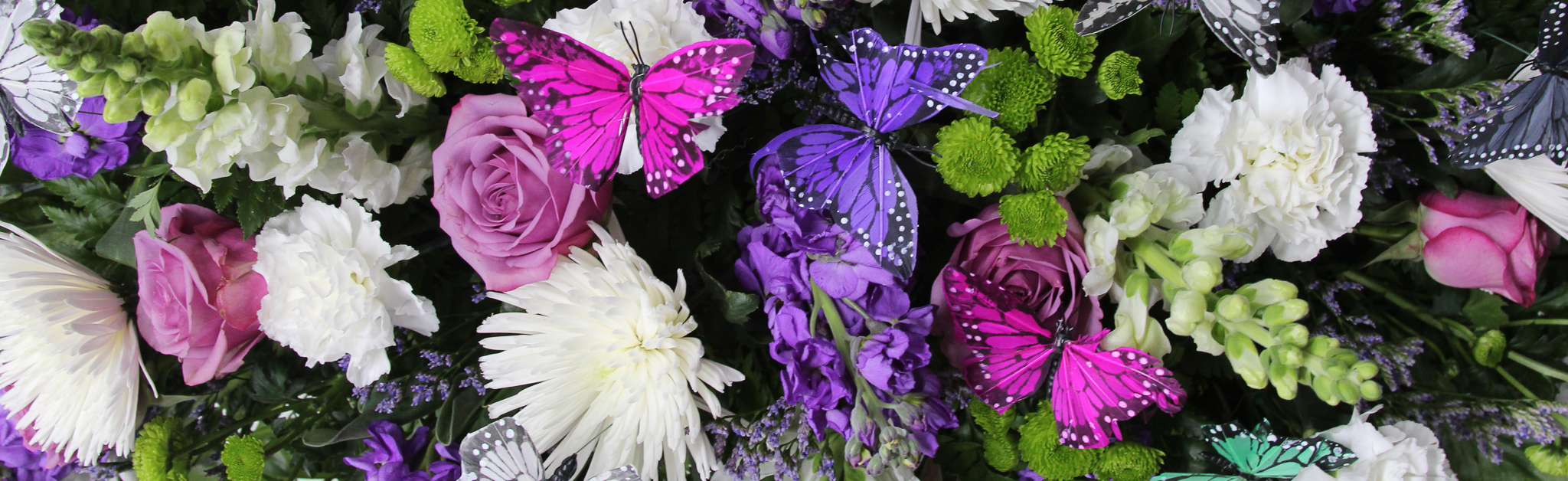 Sympathy Collection