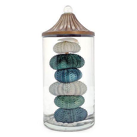 Lifetime Candle - Sea Urchin Cylinder