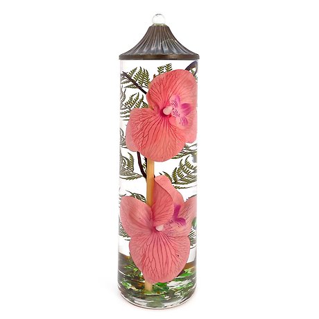 Lifetime Candle - Coral Orchid XL Cylinder